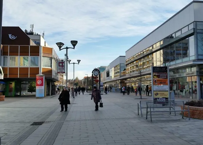 Sarolt 维斯普雷姆