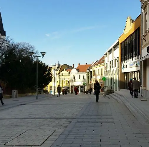 公寓 Sarolt 维斯普雷姆